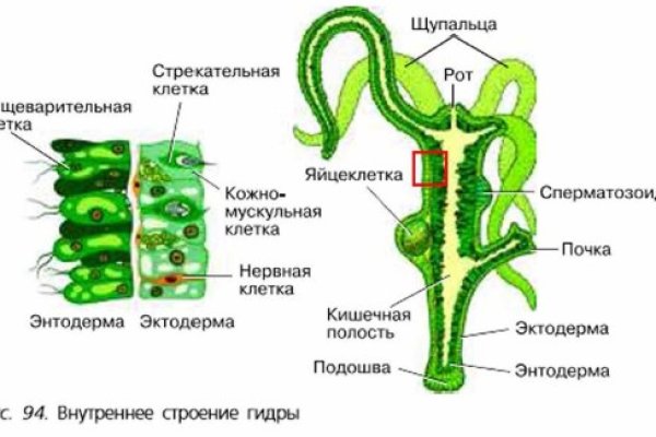 Кракен онлайн магазин